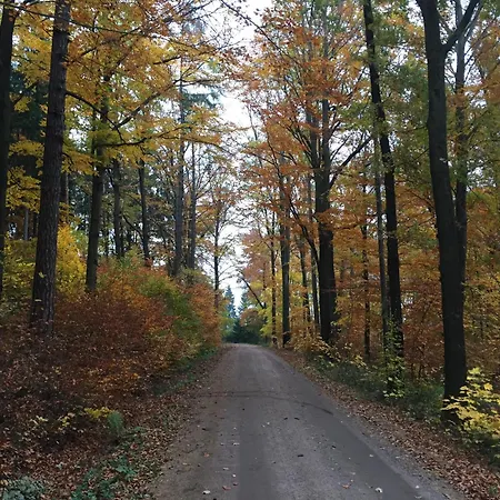 Gluecksklee Lejlighed Tharandt