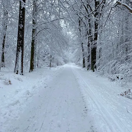 公寓 Gluecksklee *