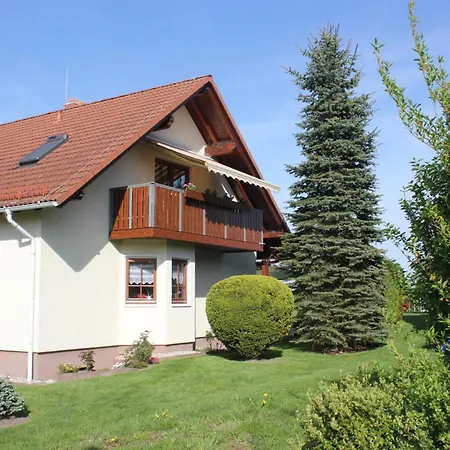 Gluecksklee * 萨兰德特