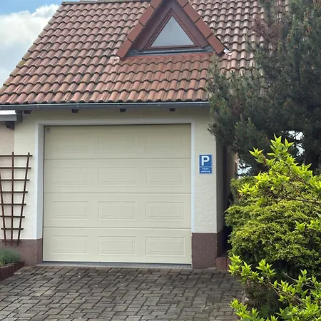Gluecksklee Tharandt