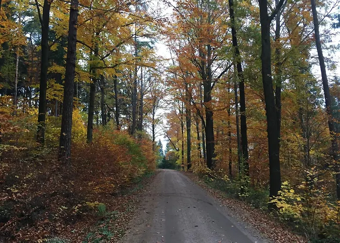 Gluecksklee Appartement Tharandt